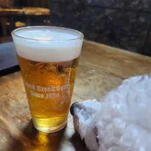 햄튼 리뷰 사진