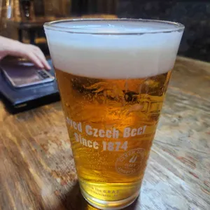 햄튼 리뷰 사진