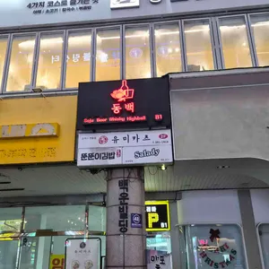 동백 대표 사진