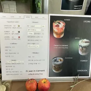 플라워인시멘트 리뷰 사진