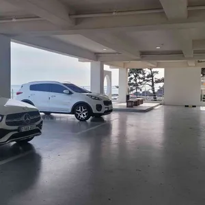 코델리아 리뷰 사진