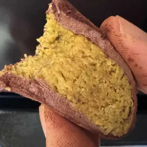 식빵언니의하루 사진