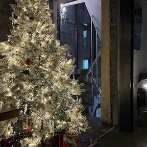 파사도 리뷰 사진