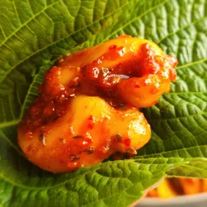 조가네 갑오징어 대표 사진