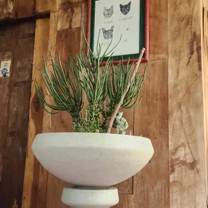 여여로 대표 사진