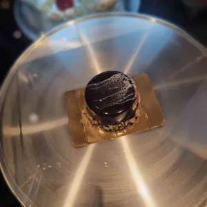 엘리펀티 대표 사진