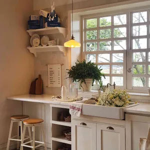 후아후아 대표 사진