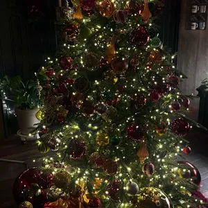 따우전드 리뷰 사진