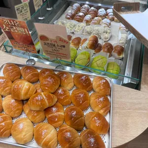 AVEK CHERI 대표 사진