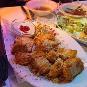 오사카고양이 사진 1