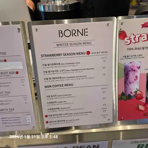 보르너 리뷰 사진