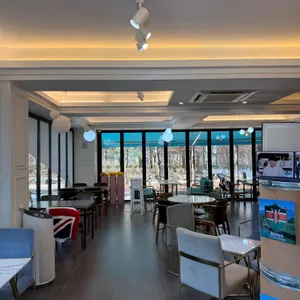 바질12 대표 사진