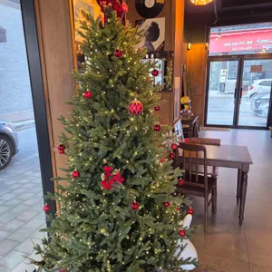 디어마이콤마 리뷰 사진