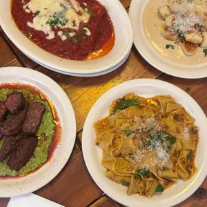 파피 대표 사진