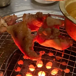 탐라도니 대표 사진