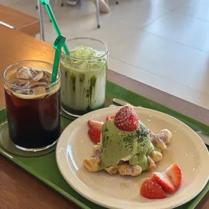 글로시말차 사진