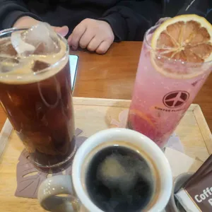 커피플라이트 사진 2