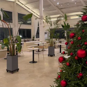 플로스파트2 리뷰 사진