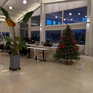 플로스파트2 리뷰 사진