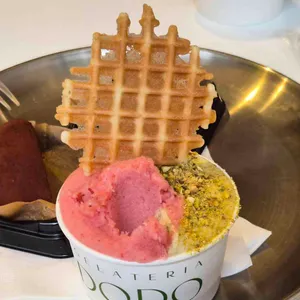 젤라떼리아 도도 사진 1