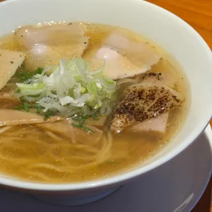 거북이의 꿈 사진