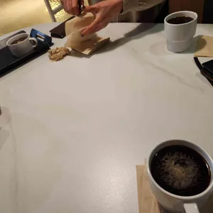 스프링 사운즈 대표 사진