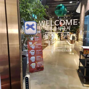 스프링 사운즈 리뷰 사진