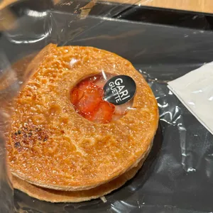 가리게트 대표 사진