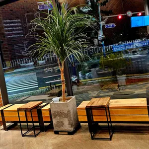 달몬트 리뷰 사진