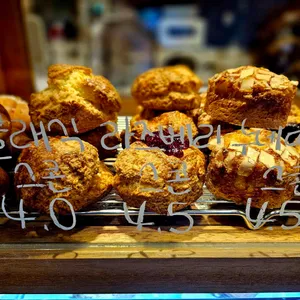 달몬트 리뷰 사진