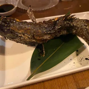 로바타 니카이 사진