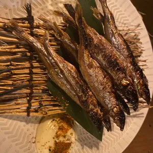 로바타 니카이 사진