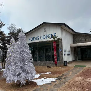 소디스커피 리뷰 사진