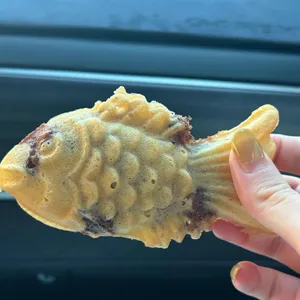 호잉 대표 사진