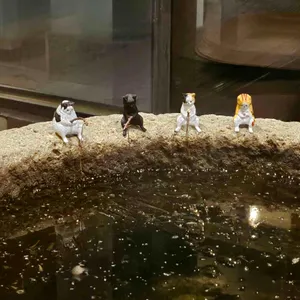 가비1935 대표 사진