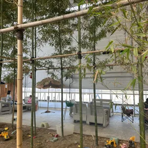 어반리프 리뷰 사진