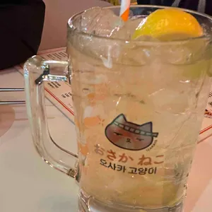 오사카고양이 사진 1