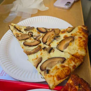 페이퍼 플레이트 사진 1