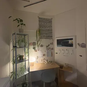 존제의존재 대표 사진