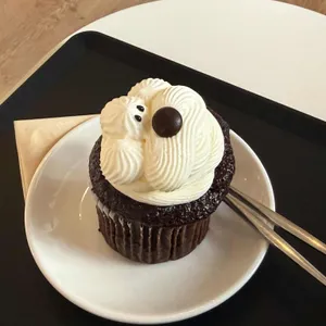 이오프 대표 사진