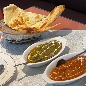 비나 대표 사진