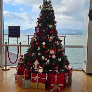 카페노을 리뷰 사진