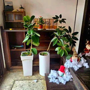 카페 신민회 리뷰 사진