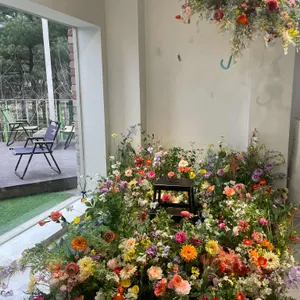 에이프 대표 사진