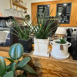 Bake cafe 대표 사진