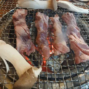 서원갈매기 사진 1