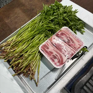 삼부자미나리 사진