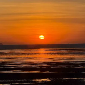 미음 리뷰 사진