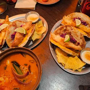 멕시타이거 사진