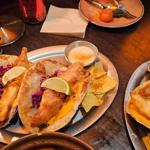 멕시타이거 사진